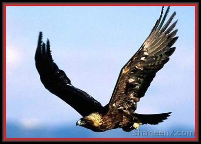 You have reached the last slide